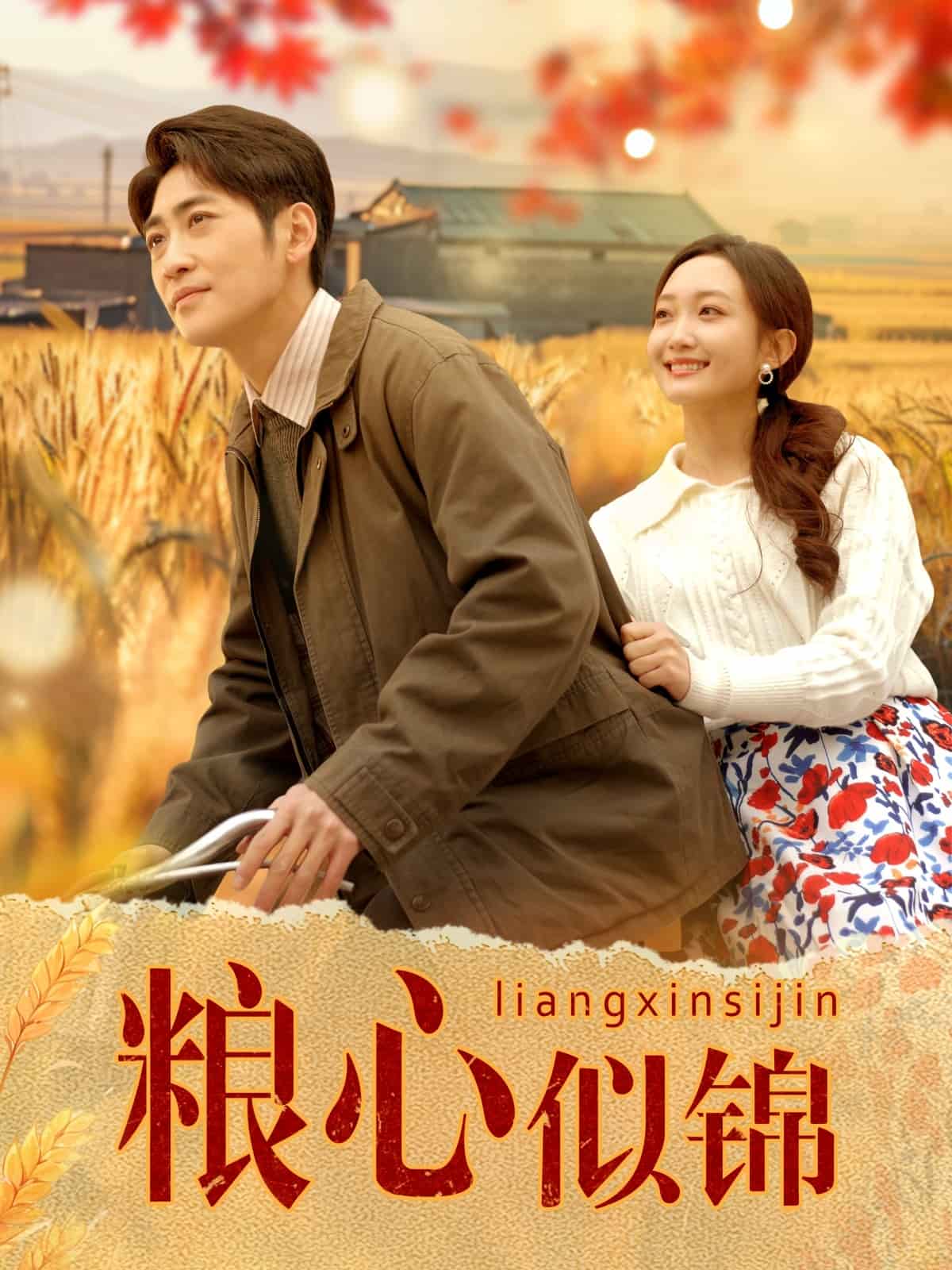 粮心似锦(全集)