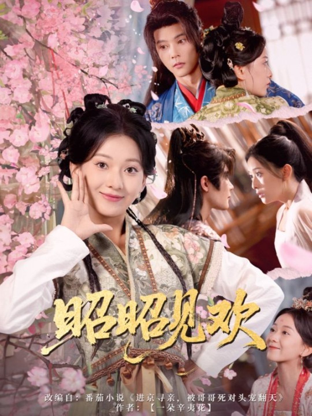 昭昭见欢全集(大结局)